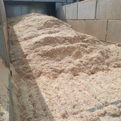 Cargo Floor moving floor 2023 014.jpg